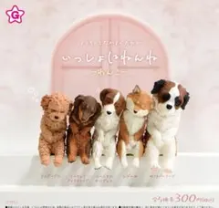 いっしょにねんね わんこ 全５種コンプリートセット