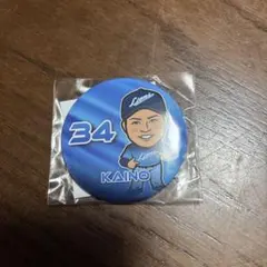 埼玉西武ライオンズアオフェス甲斐野史投手