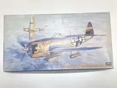 ハセガワ 1/48 P-47D-25 サンダーボルト