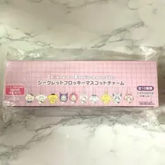 ちいかわ　サンリオ　シークレットフロッキーマスコットチャーム　全10種