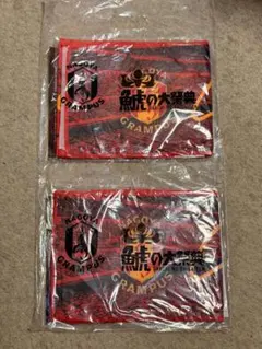名古屋グランパス 鯱の大祭典 タオル 2枚セット