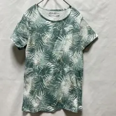 美品 エディーバウアー 総柄半袖Tシャツ アウトドア ボタニカル柄 小さめPM