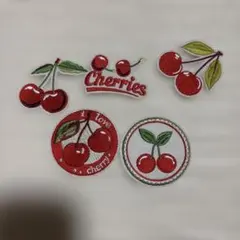 アイロンタイプ　ワッペンセット