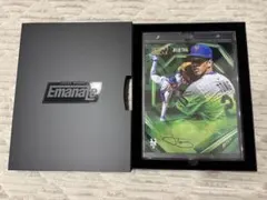 一点物WWE 認証書付きサイン入り jeff hardy elite エリート - メルカリ