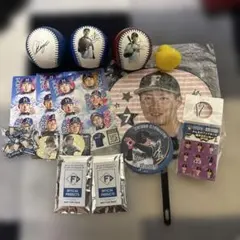 宮西尚生/ファイターズ/日ハム/直筆サインボール&グッズセット/おまけ 