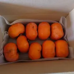 新鮮な柿 8個入り、2.3キロ