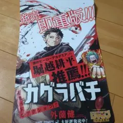 カグラバチ 8巻、9巻 販促ポスター セット カグラバチ 8巻、9巻 販促ポスター セット - メルカリ