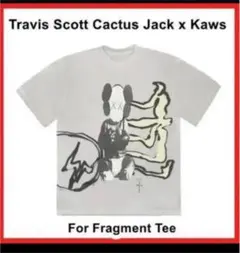 ★受注生産品★CACTUS JACK KAWS fragmentTシャツMサイズ