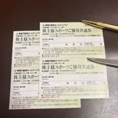 東急系　スキー場のリフト券の割引券　４枚　8名様分