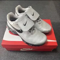 NIKE AIR MAX PLUS TIEMPO シルバー 27.0cm