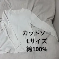 Item thumbnail for item 9e8a43e2-55a8-42c6-8b60-6ee28ce1b8ae