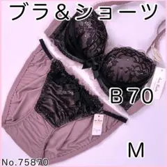 ブラジャーショーツセット b70