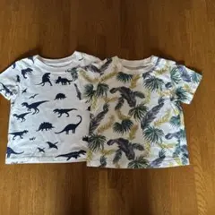 恐竜・植物柄Tシャツ2枚セットのサムネイル
