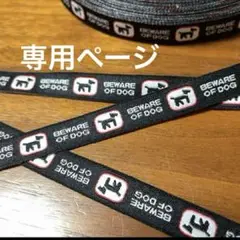 専用ページ