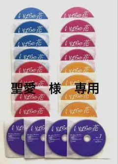 韓国ドラマDVD　【いばらの花】全巻