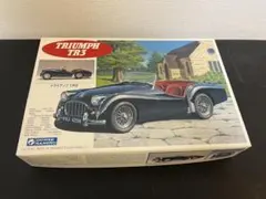 13. TRIUMPH TR3 プラスチックモデルキット 1/24のサムネイル