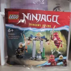 LEGO Ninjago 30650 カイとラプトンの寺院バトル