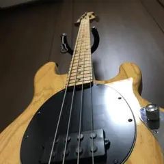 mono Ernie Ball MUSICMAN スティングレイ ベースケース mono Ernie Ball MUSICMAN スティングレイ ベースケース mono Ernie