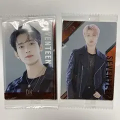 SEVENTEEN トレカ DK THE8 ウエハース