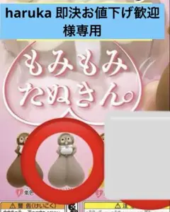 haruka 即決お値下げ歓迎　様専用 もみもみたぬきん　白茶色
