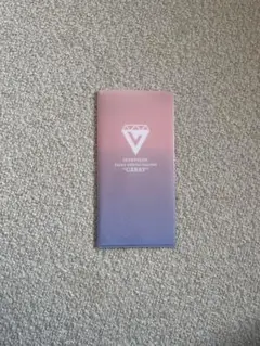 SEVENTEEN CARAT チケットケース　公式