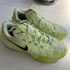 Nike zoom cut GT 3