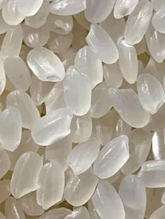 2026年最新】ゆうだい21の人気アイテム - メルカリ