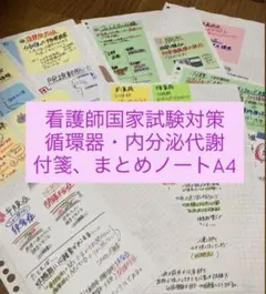 看護師国家試験対策｜循環器・内分泌代謝まとめノート・付箋（A4コピー）