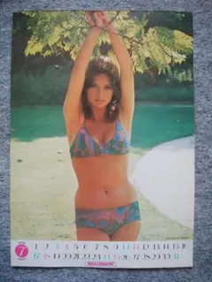 ジャクリーン・ビセット　カラーポート　Ａ4サイズ　裏面　スティーブ・マックイーン