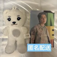 2026年最新】HARUBEARの人気アイテム - メルカリ