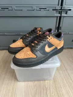 Nike Dunk Low "Cider"のサムネイル