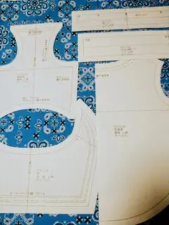 Item thumbnail for item 71ac3428-611d-40d7-a5b8-6946e442e97d