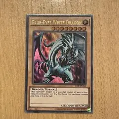 遊戯王 青眼の白龍 英語 スーパー 1st Edition DPKB - メルカリ