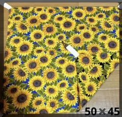 50✖️45 ニャンモック　金具付　ハンモック 猫　フェレットのサムネイル