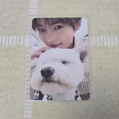 ハンビン　トレカ　ゼベワン　zb1　犬　レオ　デジパック