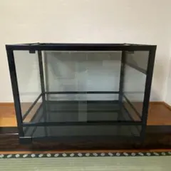 2026年最新】温室 ガラスケースの人気アイテム - メルカリ