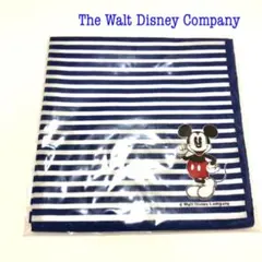 Item thumbnail for item 309b3a46-6d35-4886-adaf-a39300f38167