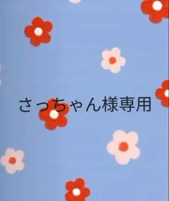 さっちゃん様専用ページ