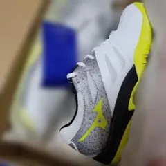 Item thumbnail for item 45f017ea-5d5e-4d08-ae75-6f7d097eea15