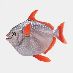 ネイチャーテクニカラー　深海生物　マグネット&ボールチェーン　アカマンボウ