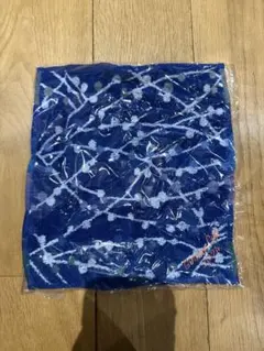 Item thumbnail for item 71cde8af-c99d-47f9-aea9-cab5a54c451b