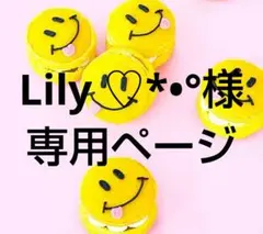 Lily ♡*•°様 リクエスト 3点 まとめ商品