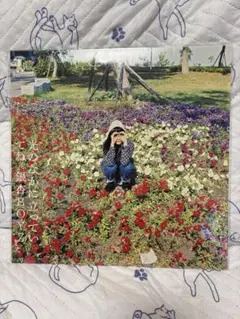 新品未使用　銀杏BOYZ 光　レコード　希少 2025年最新】銀杏boyz レコード 光のの人気アイテム - メルカリ