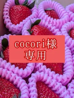 cocori様専用♡すず♡おぱんちゅ苺♡完熟苺♡４Ｌサイズ♡コンパクトBOX♡