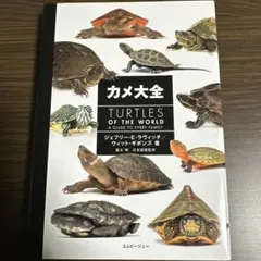 【ゆにこ〜ん様専用】 カメ大全 Turtles of the World