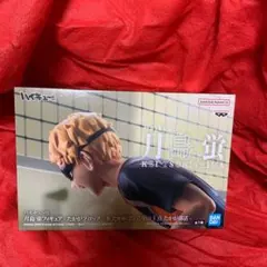 ハイキュー!! 月島 蛍フィギュア
