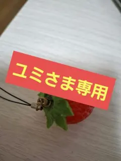 【ご当地ストラップ】鳥取&広島　ご当地キティストラップ