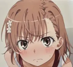 とある科学の超電磁砲 レールガン 御坂美琴 体操服Ver. ブロマイド2枚セット
