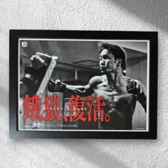 B2 RIZIN 男祭り 餓狼復活 朝倉未来 サイン入りポスター - メルカリ