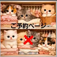 ♡おもしろい猫ちゃんのオーダーページ - メルカリ